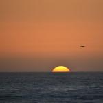 CambriaCN_175 (October 25, 2014)